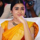 Arjun Reddy Movie Heroine Shalini Pandey Photo