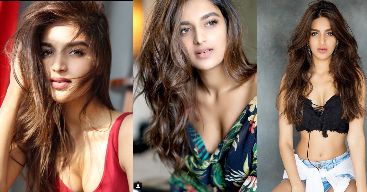 Nidhhi Agerwal to romance Naga Shaurya?