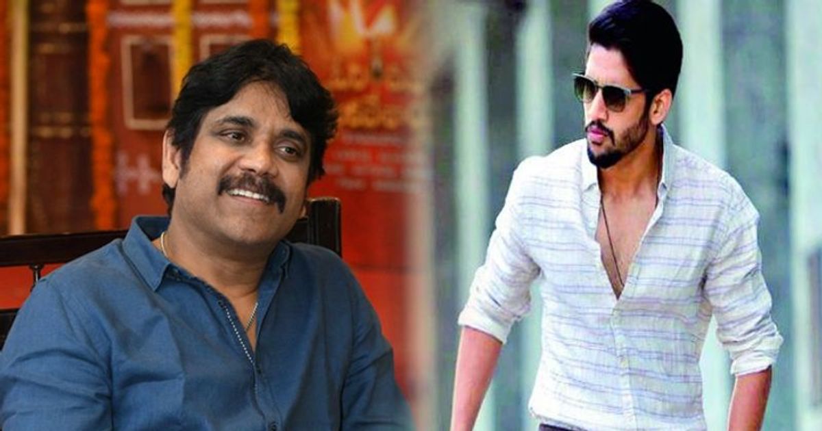 Nag and Chaitu's Bangarraju