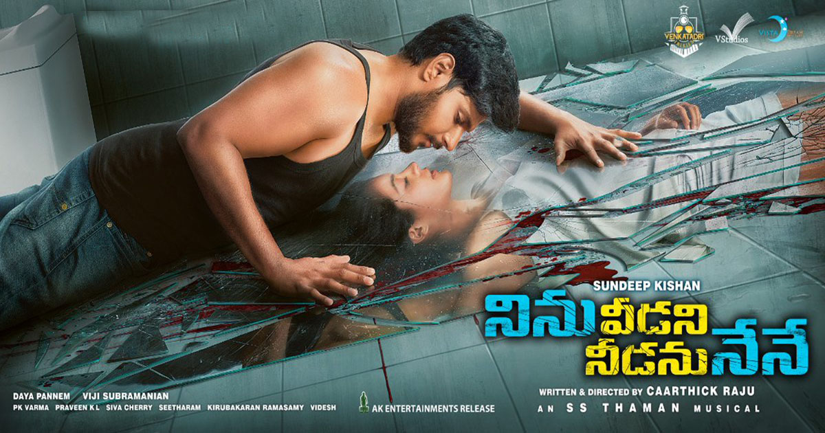 Ninu Veedani Needanu Nene Teaser: Interesting Ride